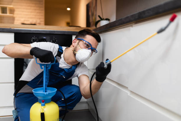 Best Pest Inspection Near Me  in Anniston, AL