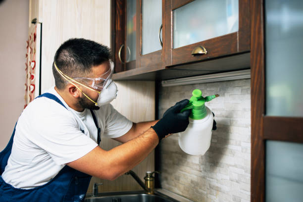 Best Exterminator Services  in Anniston, AL