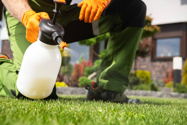 Best Affordable Pest Control Services  in Anniston, AL