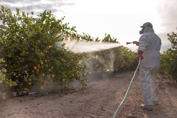 Best Residential Pest Control  in Anniston, AL