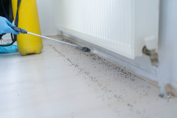Best Wildlife Control Services  in Anniston, AL
