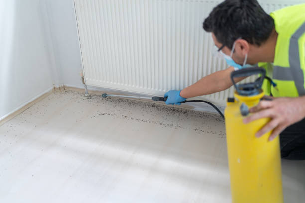 Trusted Anniston, AL Pest Control Experts