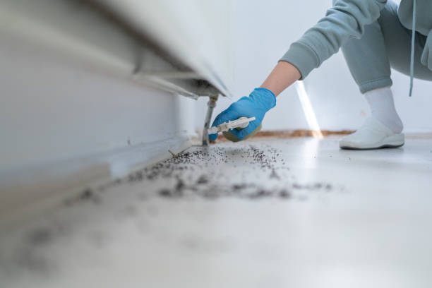 Best Best Pest Control Companies  in Anniston, AL