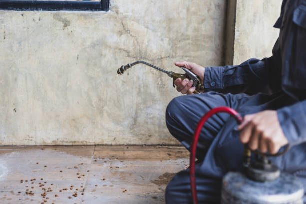 Best Ant Control Services  in Anniston, AL